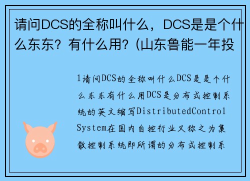 请问DCS的全称叫什么，DCS是是个什么东东？有什么用？(山东鲁能一年投入多少？)